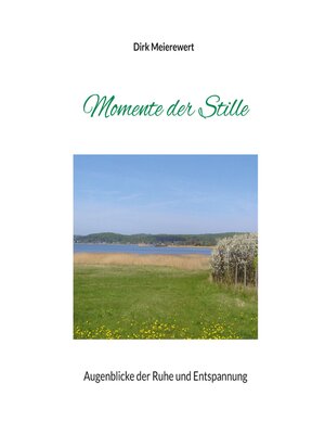 cover image of Momente der Stille